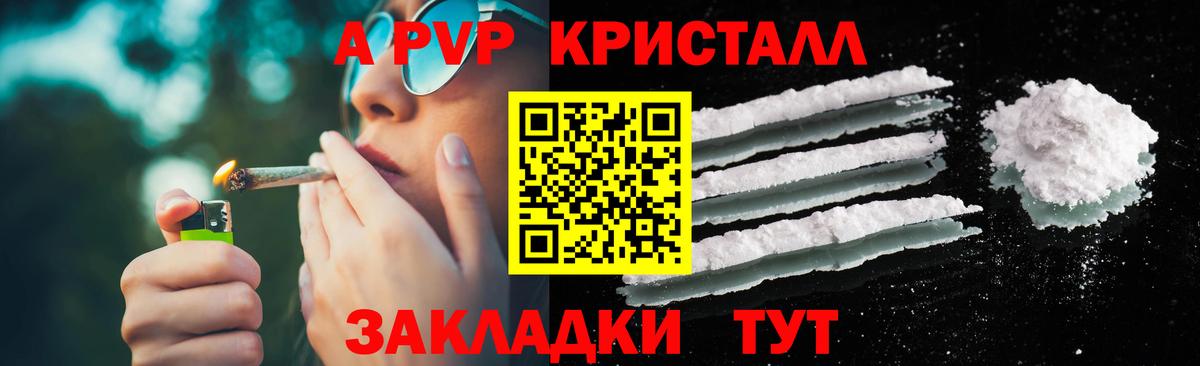 Альфа ПВП СК Чайковский