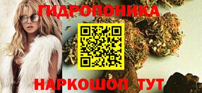 скорость Лесосибирск
