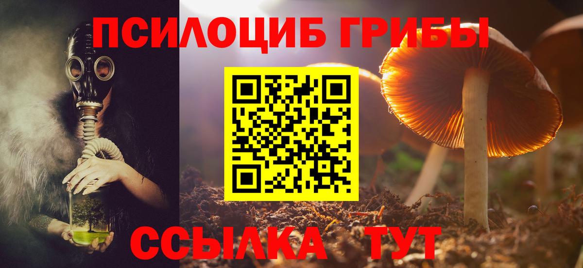 Галлюциногенные грибы Magic Shrooms Чайковский